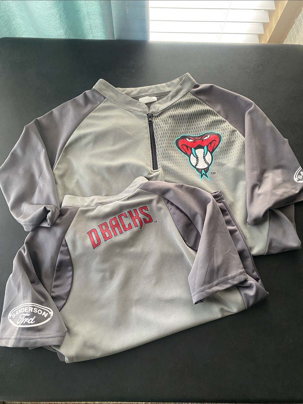 Bundle Arizona D-backs Grey Baseball Pullover with Snake Logo (Adult XL, Youth L